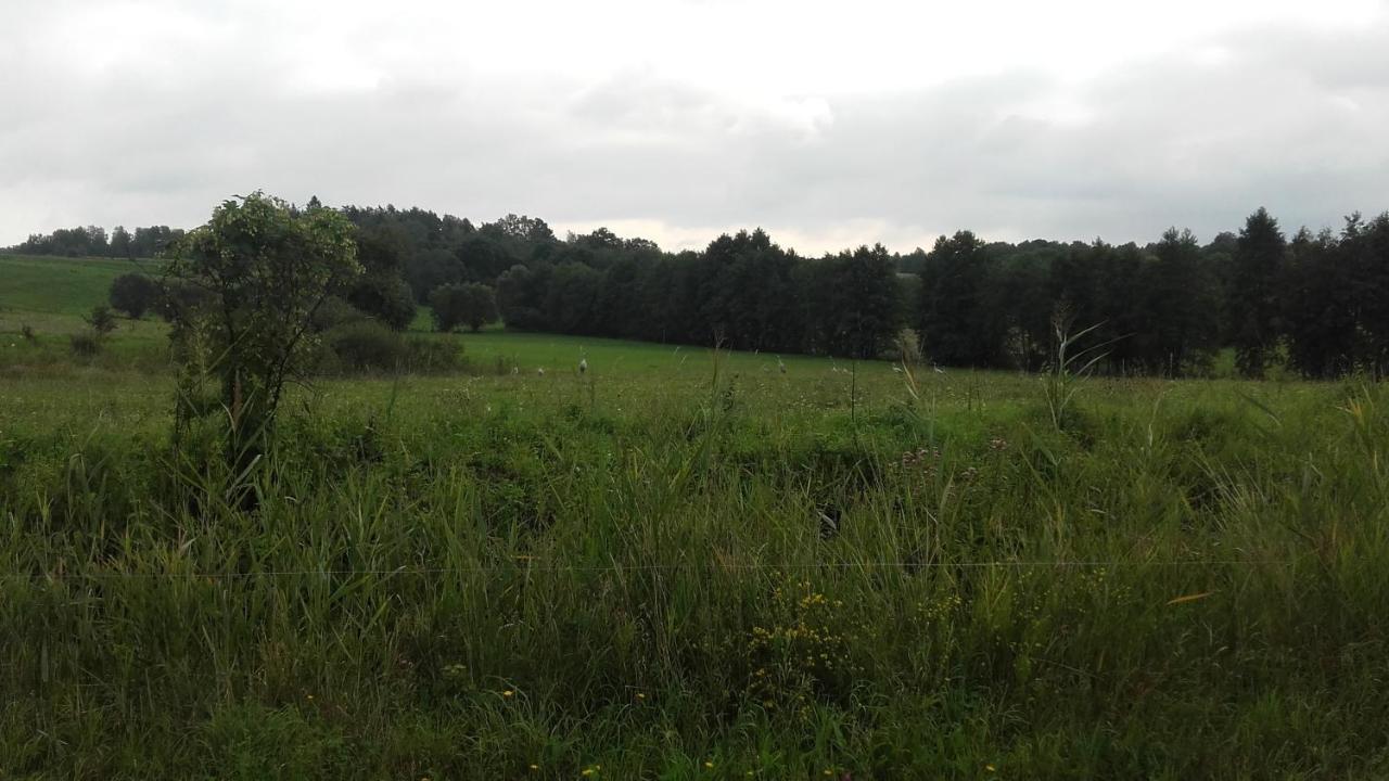 Domek Bialojany Luaran gambar